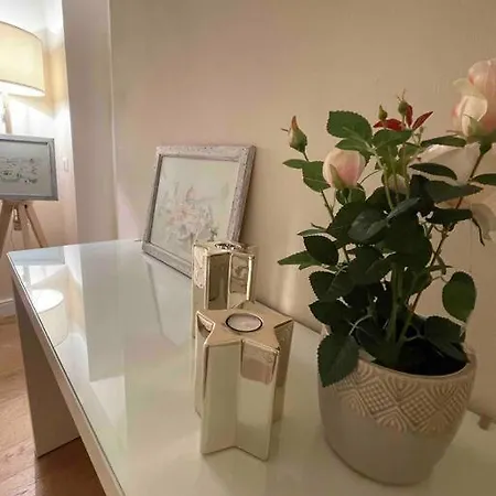 Cozy Santa Maria Novella Uffizi Duomo 2beds-2baths